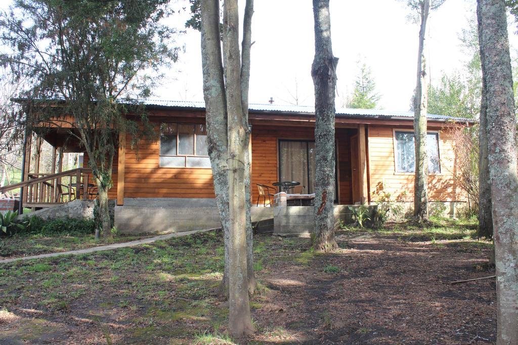 Apart Hotel Puchaley Lafquen Panguipulli Exterior foto